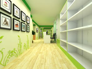 圣宠上海浦东金桥店装修效果图解析 现代装饰风格的典范